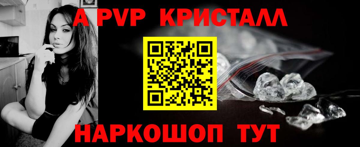 Альфа ПВП СК Геленджик