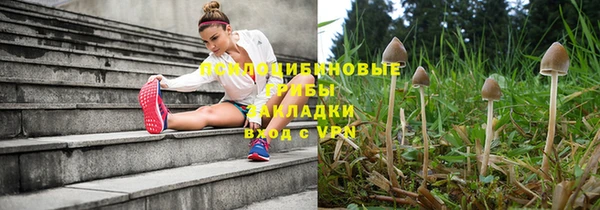 мет Магас