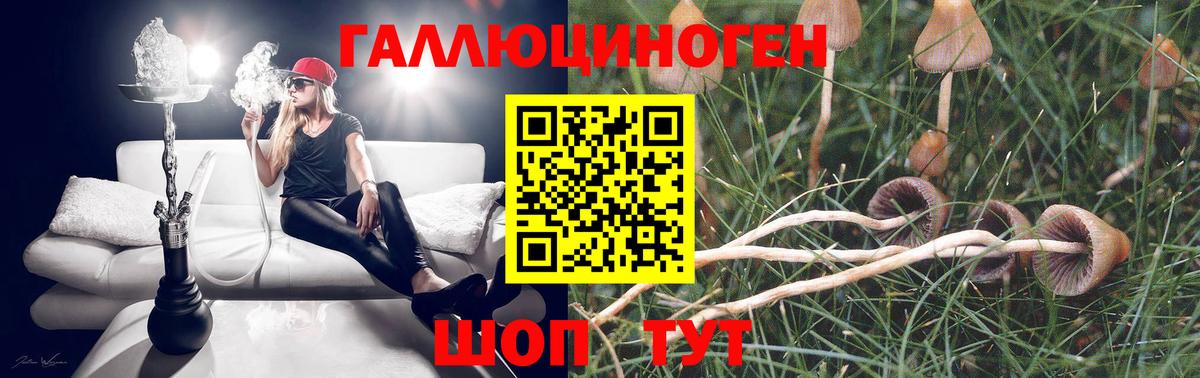 Псилоцибиновые грибы GOLDEN TEACHER  Вход с VPN  Геленджик 