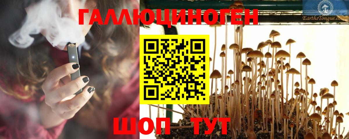 МЕФ Геленджик