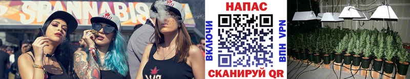 Марихуана ГИДРОПОН наркота Геленджик
